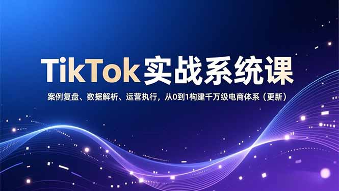 TikTok实战系统课，案例复盘、数据解析、运营执行，从0到1构建千万级电商体系(更新好创网-专注优质VIP网课 网络创业落地实操课程资源分享 – 每天更新_高质量项目输出好创网