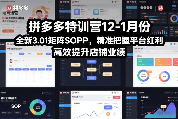 拼多多特训营12-1月份，全新3.01矩阵Sop，精准把握平台红利，高效提升店铺业绩好创网-专注优质VIP网课 网络创业落地实操课程资源分享 – 每天更新_高质量项目输出好创网