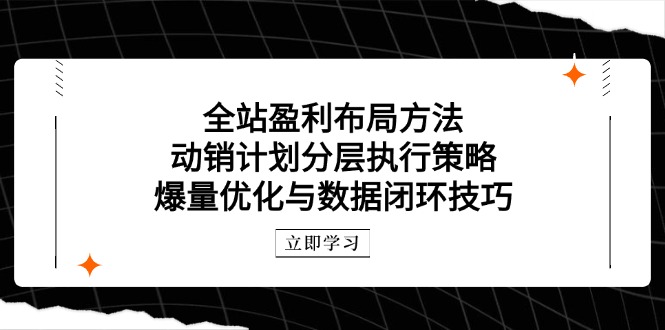 全站盈利布局方法：动销计划分层执行策略，爆量优化与数据闭环技巧好创网-专注优质VIP网课 网络创业落地实操课程资源分享 – 每天更新_高质量项目输出好创网
