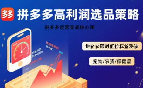 拼多多选品暴利技术实战课，拼多多高利润选品策略，拼多多限时低价标签秘诀好创网-专注优质VIP网课 网络创业落地实操课程资源分享 – 每天更新_高质量项目输出好创网