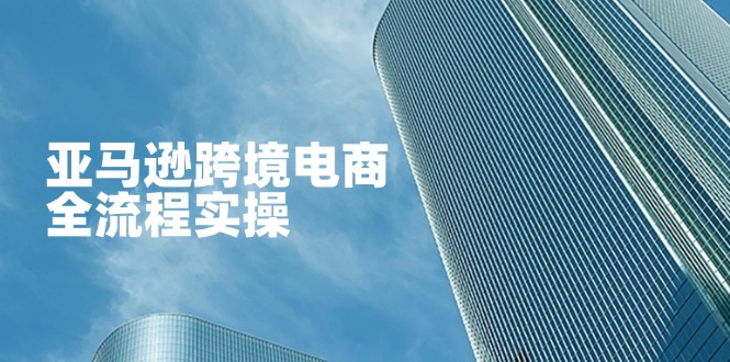 亚马逊跨境电商全流程实操,教你从零开始,掌握店铺运营与广告技巧好创网-专注优质VIP网课 网络创业落地实操课程资源分享 – 每天更新_高质量项目输出好创网