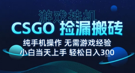 8月最新游戏搬砖，CSGO纯挂G，不需要玩游戏，实现真挂G，月入1W+【揭秘】好创网-专注优质VIP网课 网络创业落地实操课程资源分享 – 每天更新_高质量项目输出好创网