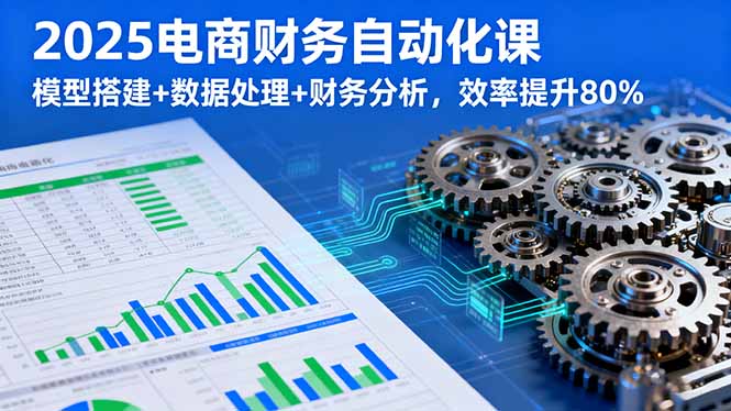 2025电商财务自动化课,模型搭建+数据处理+财务分析,效率提升80%好创网-专注优质VIP网课 网络创业落地实操课程资源分享 – 每天更新_高质量项目输出好创网