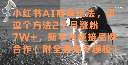 小红书AI商单玩法，用这个方法2个月涨粉7W+，新手也能接品牌合作(附全套指令模板)好创网-专注优质VIP网课 网络创业落地实操课程资源分享 – 每天更新_高质量项目输出好创网
