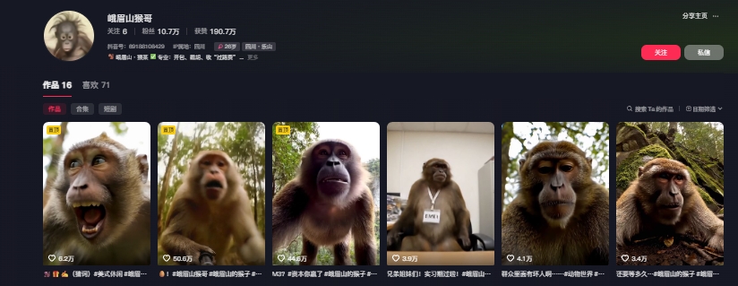 最新爆火的峨眉山猴子短视频制作教程，条条点赞10w+，谁做谁火【教程+提示词】好创网-专注优质VIP网课 网络创业落地实操课程资源分享 – 每天更新_高质量项目输出好创网