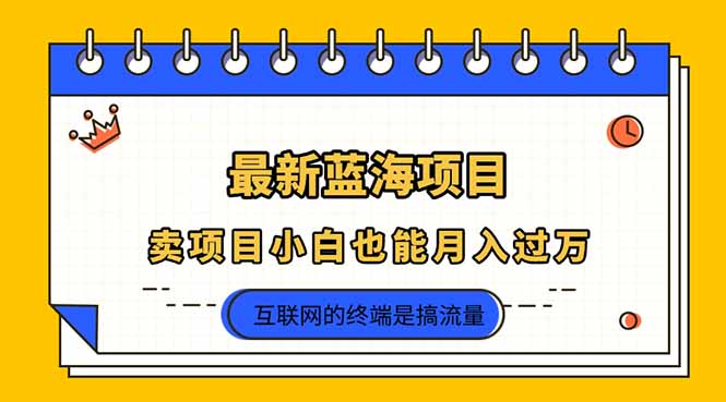 2025年最新蓝海项目,卖项目小白也能月入过万好创网-专注优质VIP网课 网络创业落地实操课程资源分享 – 每天更新_高质量项目输出好创网