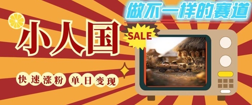 DeepSeek+绘图+视频制作小人国微观视频，小白轻轻松松上手，条条爆款，条条变现，单日就能收益好创网-专注优质VIP网课 网络创业落地实操课程资源分享 – 每天更新_高质量项目输出好创网