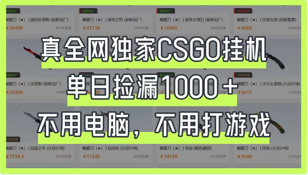 真全网独家CSGO挂机,单日捡漏1000+,不用电脑,不用养号好创网-专注优质VIP网课 网络创业落地实操课程资源分享 – 每天更新_高质量项目输出好创网