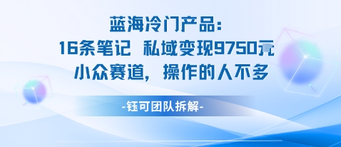 蓝海项目:16条笔记私域变现9750米小众赛道操作的人不多好创网-专注优质VIP网课 网络创业落地实操课程资源分享 – 每天更新_高质量项目输出好创网