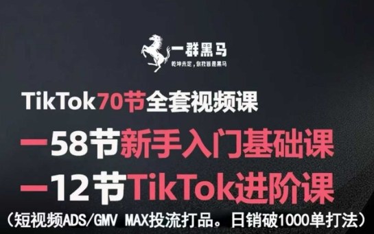 TikTok全套视频课,新手入门+进阶课,短视频ADS-GMV MAX投流打品,日销破1000单打法好创网-专注优质VIP网课 网络创业落地实操课程资源分享 – 每天更新_高质量项目输出好创网