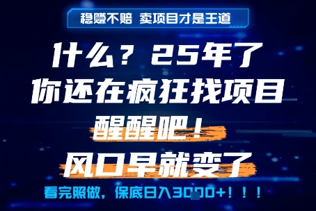 什么？25年你还在疯狂找项目做，醒醒吧，看完这些你全都懂了！【揭秘】好创网-专注优质VIP网课 网络创业落地实操课程资源分享 – 每天更新_高质量项目输出好创网