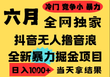 25年6月高爆抖音无人直播最新撸音浪掘金项目,小白可做,无脑日入1k+,门槛低可批量矩阵【揭秘】好创网-专注优质VIP网课 网络创业落地实操课程资源分享 – 每天更新_高质量项目输出好创网