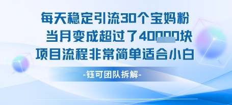 每天稳定引流30个人 当月变成超过了4个W项目流程非常简单适合小白好创网-专注优质VIP网课 网络创业落地实操课程资源分享 – 每天更新_高质量项目输出好创网