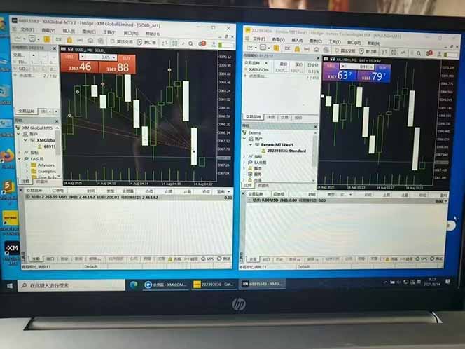 美金对冲创业项目,日收益1000-3000,小众暴力项目稳定运行8年好创网-专注优质VIP网课 网络创业落地实操课程资源分享 – 每天更新_高质量项目输出好创网