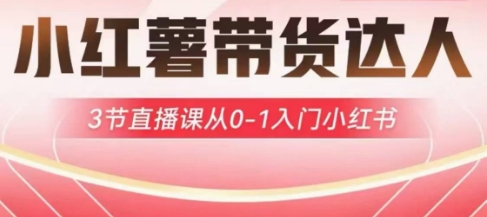 小红薯达人带货启航计划，3节直播课从0-1入门小红书好创网-专注优质VIP网课 网络创业落地实操课程资源分享 – 每天更新_高质量项目输出好创网