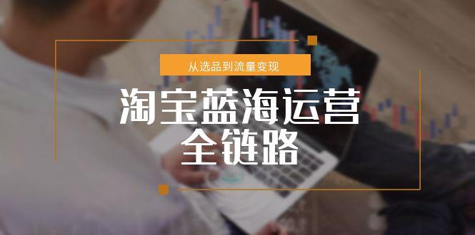 淘宝蓝海运营全链路,从选品到流量变现,小类目突围完整方案好创网-专注优质VIP网课 网络创业落地实操课程资源分享 – 每天更新_高质量项目输出好创网