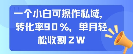 一个小白可操作私域,转化率90%,单月轻松收割2W好创网-专注优质VIP网课 网络创业落地实操课程资源分享 – 每天更新_高质量项目输出好创网