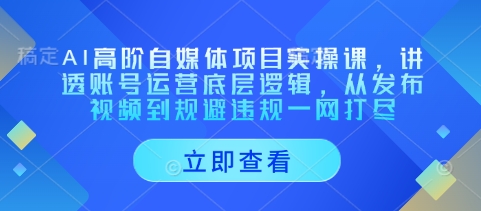 AI高阶自媒体项目实操课，讲透账号运营底层逻辑，从发布视频到规避违规一网打尽好创网-专注优质VIP网课 网络创业落地实操课程资源分享 – 每天更新_高质量项目输出好创网