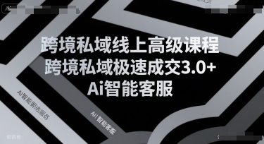 跨境私域线上高级课程，跨境私域极速成交3.0+Ai智能客服好创网-专注优质VIP网课 网络创业落地实操课程资源分享 – 每天更新_高质量项目输出好创网