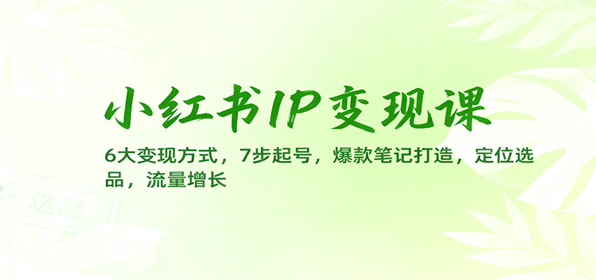 小红书IP变现课:6大变现方式,7步起号,爆款笔记打造,定位选品,流量增长好创网-专注优质VIP网课 网络创业落地实操课程资源分享 – 每天更新_高质量项目输出好创网