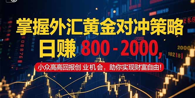 掌握外汇黄金对冲策略,日赚 800 - 2000,小众高回报创业机会,助你实...好创网-专注优质VIP网课 网络创业落地实操课程资源分享 – 每天更新_高质量项目输出好创网