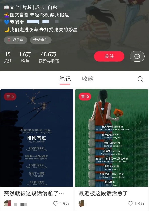 小红书治愈文案图文笔记,零门槛,一分钟制作轻松制作爆款作品月入万元好创网-专注优质VIP网课 网络创业落地实操课程资源分享 – 每天更新_高质量项目输出好创网