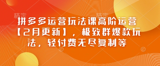 拼多多运营玩法课高阶运营【2月更新】，极致群爆款玩法，轻付费无尽复制等好创网-专注优质VIP网课 网络创业落地实操课程资源分享 – 每天更新_高质量项目输出好创网