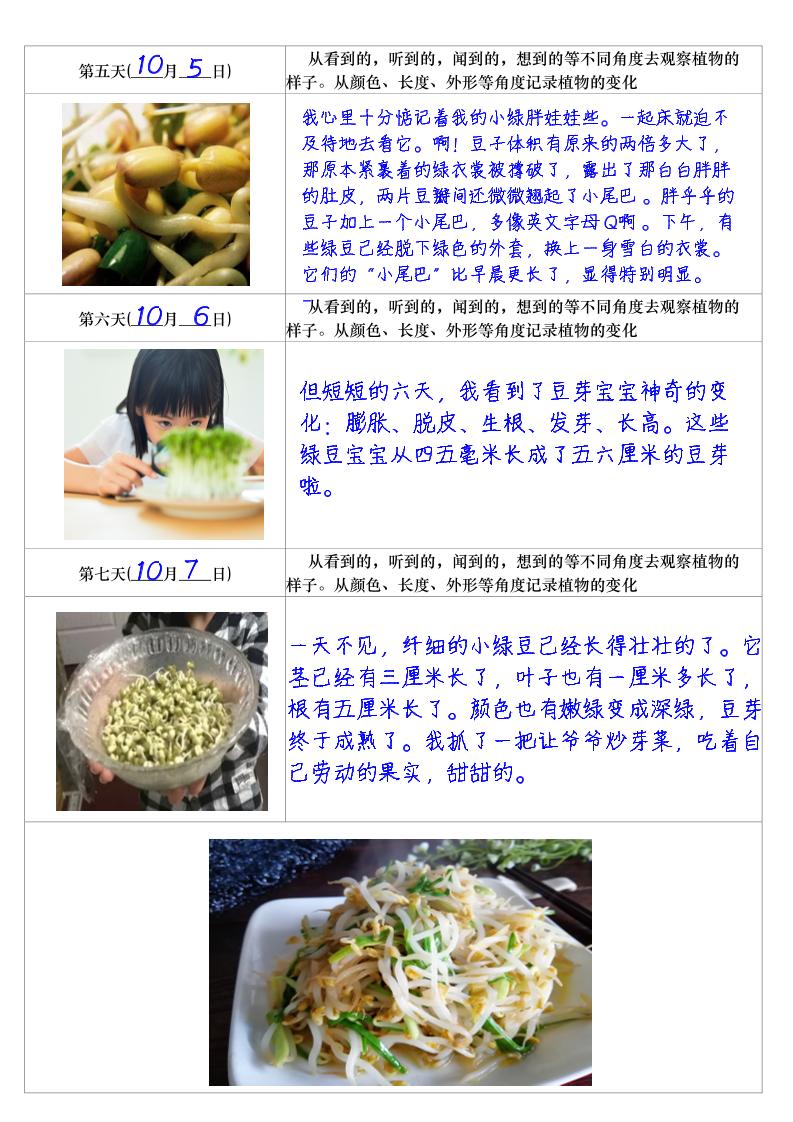 四上语文习作三：培育绿豆芽观察日记2《写观察日记》4页好创网-专注优质VIP网课 网络创业落地实操课程资源分享 – 每天更新_高质量项目输出好创网