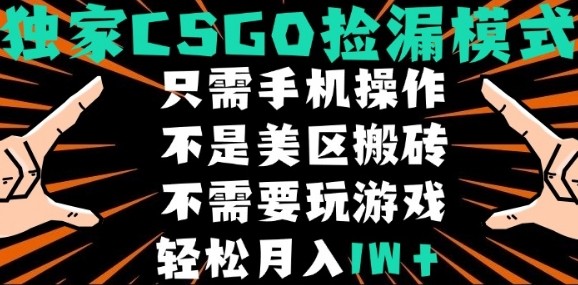 CSGO自动捡漏项目,最新独家玩法,不是美区搬砖,不需要了解和玩游戏,新手小白轻松月入1W+【揭秘】好创网-专注优质VIP网课 网络创业落地实操课程资源分享 – 每天更新_高质量项目输出好创网