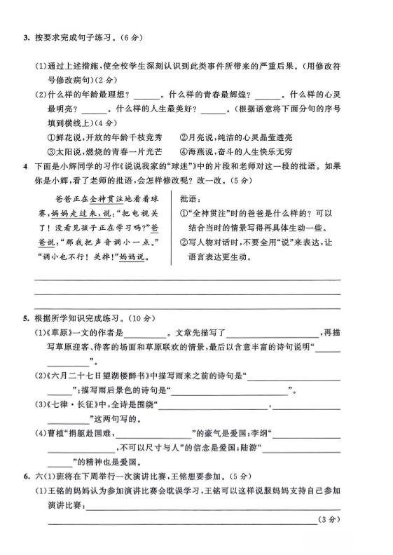 2025-2026学年六年级上册语文期中试卷2好创网-专注优质VIP网课 网络创业落地实操课程资源分享 – 每天更新_高质量项目输出好创网