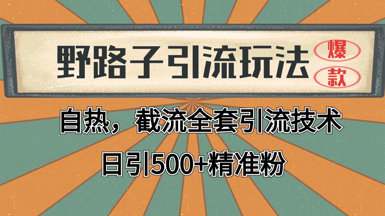 2024首发野路子引流玩法截流自热全平台打法，全自动引流【日引2000+精准客户】好创网-专注优质VIP网课 网络创业落地实操课程资源分享 – 每天更新_高质量项目输出好创网