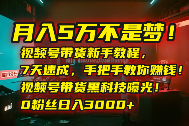 月入5万不是梦！视频号带货新手教程，7天速成，手把手教你赚钱！视频号...好创网-专注优质VIP网课 网络创业落地实操课程资源分享 – 每天更新_高质量项目输出好创网