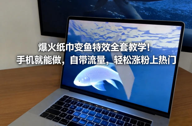 爆火纸巾变鱼特效全套教学！手机就能做，自带流量，轻松涨粉上热门好创网-专注优质VIP网课 网络创业落地实操课程资源分享 – 每天更新_高质量项目输出好创网