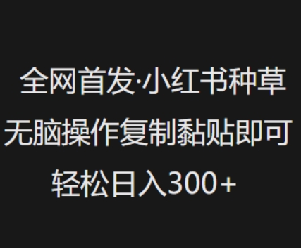 全网首发,小红书种草无脑操作,复制黏贴即可,轻松日入3张好创网-专注优质VIP网课 网络创业落地实操课程资源分享 – 每天更新_高质量项目输出好创网