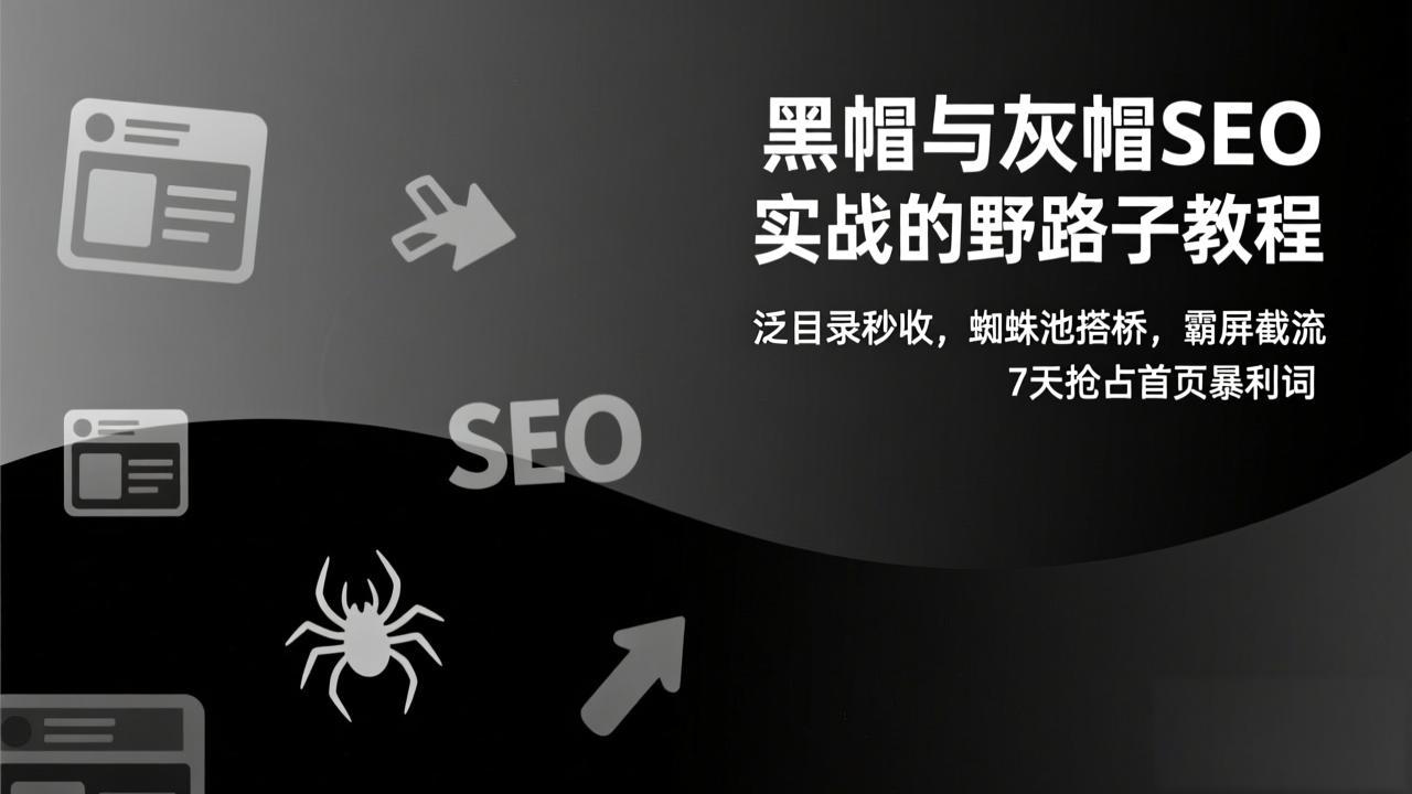 黑帽与灰帽SEO实战的野路子教程：泛目录秒收，蜘蛛池搭桥，霸屏截流，7天抢占首页暴利词好创网-专注优质VIP网课 网络创业落地实操课程资源分享 – 每天更新_高质量项目输出好创网