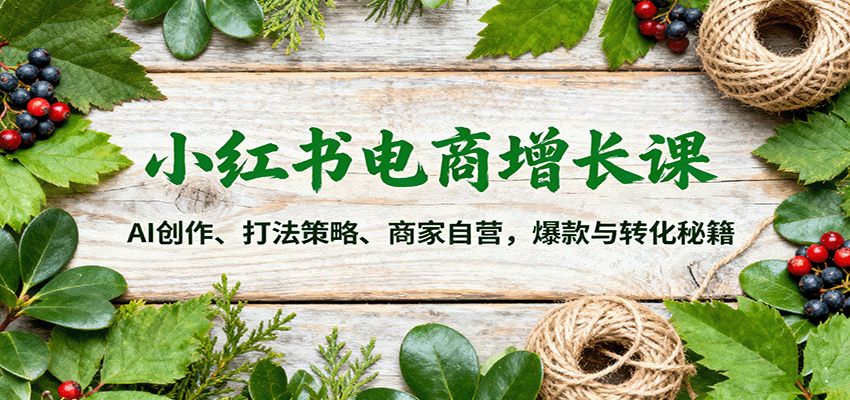 小红书电商增长课：AI创作、打法策略、商家自营，爆款与转化秘籍好创网-专注优质VIP网课 网络创业落地实操课程资源分享 – 每天更新_高质量项目输出好创网