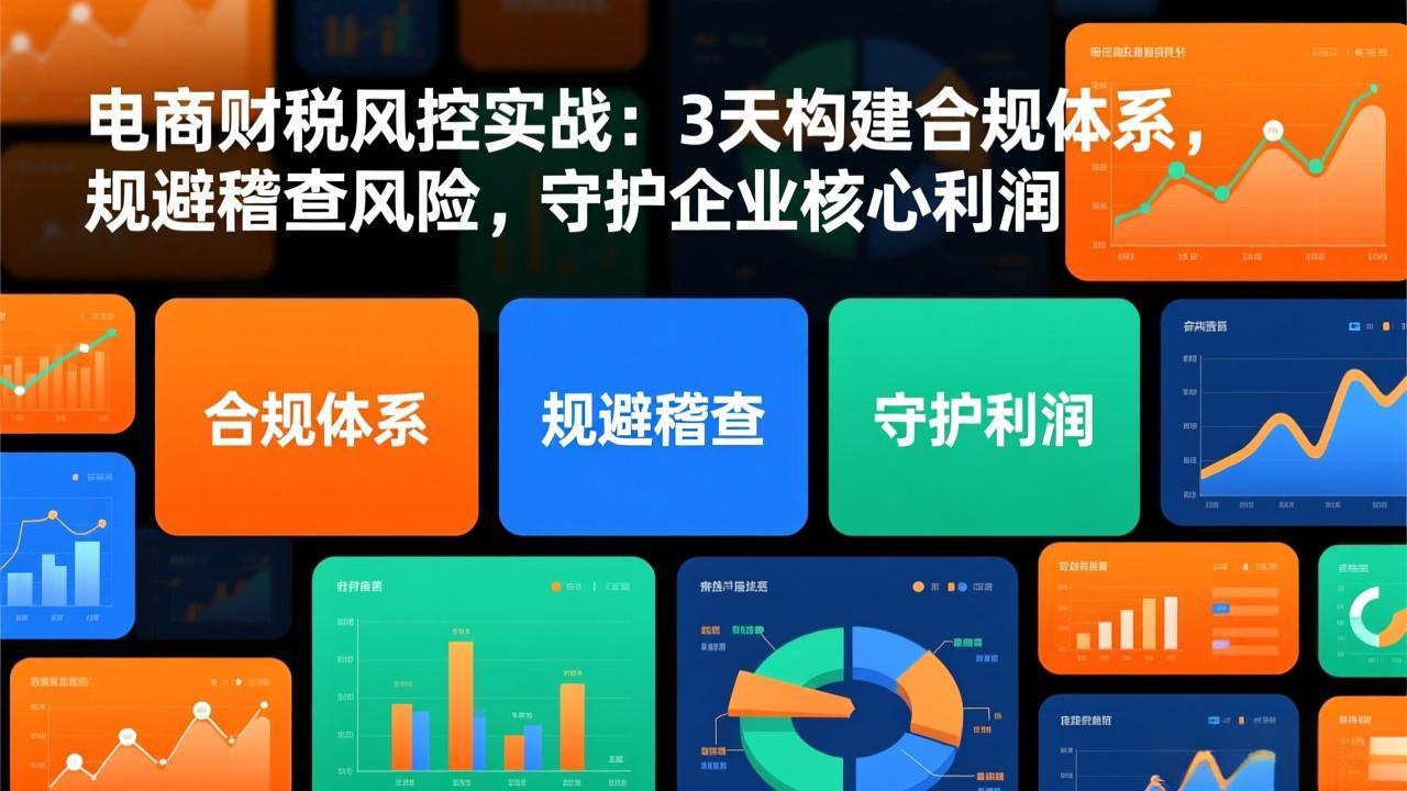 电商财税风控实战:3天构建合规体系,规避稽查风险,守护企业核心利润好创网-专注优质VIP网课 网络创业落地实操课程资源分享 – 每天更新_高质量项目输出好创网