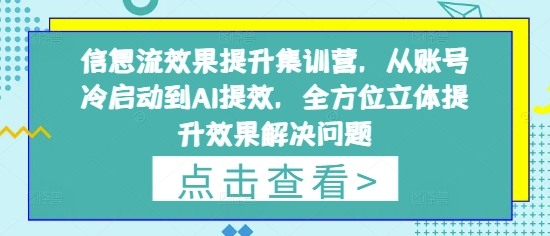 信息流效果提升集训营,从账号冷启动到AI提效,全方位立体提升效果解决问题好创网-专注优质VIP网课 网络创业落地实操课程资源分享 – 每天更新_高质量项目输出好创网