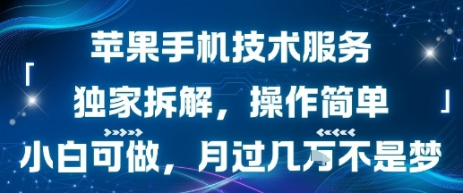 苹果手机技术服务，独家拆解，操作简单，小白可做，月过1W不是梦好创网-专注优质VIP网课 网络创业落地实操课程资源分享 – 每天更新_高质量项目输出好创网