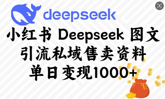 小红书Deepseek图文引流私域售卖资料,单日变现多张好创网-专注优质VIP网课 网络创业落地实操课程资源分享 – 每天更新_高质量项目输出好创网
