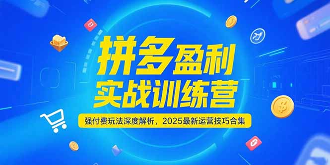 拼多多盈利实战训练营，强付费玩法深度解析，2025运营技巧合集-更新6月好创网-专注优质VIP网课 网络创业落地实操课程资源分享 – 每天更新_高质量项目输出好创网