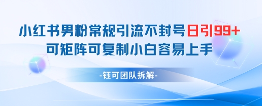 小红书男粉常规引流不封号日引99+变现简单 可矩阵可复制小白容易上手好创网-专注优质VIP网课 网络创业落地实操课程资源分享 – 每天更新_高质量项目输出好创网