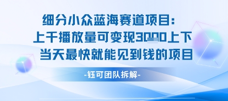 小众蓝海赛道项目:当天变现1k+适合新手操作 +适合长期玩好创网-专注优质VIP网课 网络创业落地实操课程资源分享 – 每天更新_高质量项目输出好创网