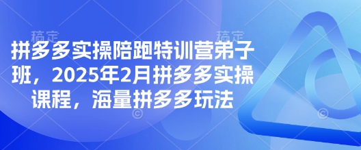 拼多多实操陪跑特训营弟子班,2025年2月拼多多实操课程,海量拼多多玩法好创网-专注优质VIP网课 网络创业落地实操课程资源分享 – 每天更新_高质量项目输出好创网