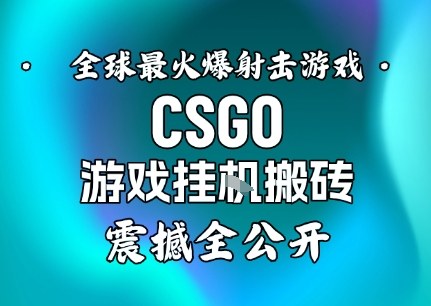 【年底大揭秘】基于全球最火爆的射击CSGO游戏挂G搬砖,日入5张+,震撼公开好创网-专注优质VIP网课 网络创业落地实操课程资源分享 – 每天更新_高质量项目输出好创网