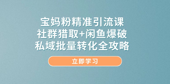 宝妈粉精准引流课，社群猎取+闲鱼爆破，私域批量转化全攻略好创网-专注优质VIP网课 网络创业落地实操课程资源分享 – 每天更新_高质量项目输出好创网