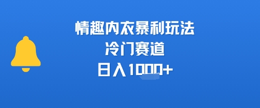 情趣内衣暴利玩法，冷门赛道，日入1k+好创网-专注优质VIP网课 网络创业落地实操课程资源分享 – 每天更新_高质量项目输出好创网
