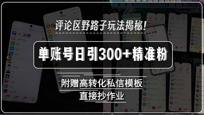 评论区野路子玩法揭秘！单账号日引300+精准粉，附赠高转化私信模板，直...好创网-专注优质VIP网课 网络创业落地实操课程资源分享 – 每天更新_高质量项目输出好创网
