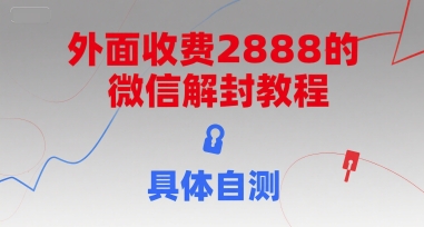 外面收费2888的微信解封教程,具体自测好创网-专注优质VIP网课 网络创业落地实操课程资源分享 – 每天更新_高质量项目输出好创网